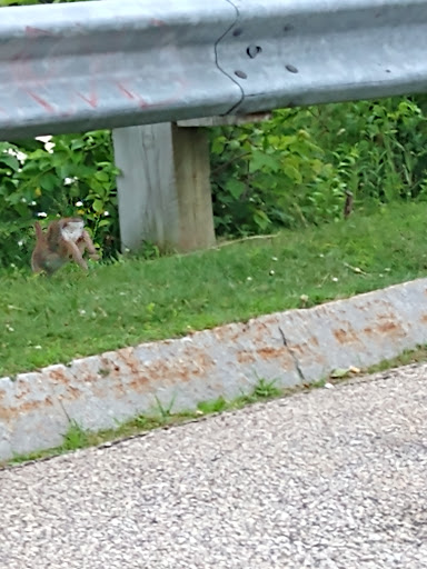 American Restaurant «Cracker Barrel Old Country Store», reviews and photos, 16 Nashua Rd, Londonderry, NH 03053, USA