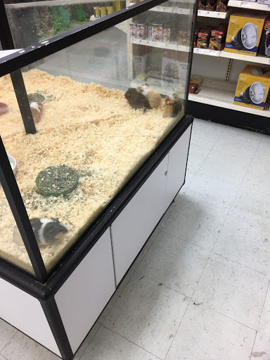 Pet Store «Inland Reef Pet Store», reviews and photos, 817 Cross Lanes Dr, Cross Lanes, WV 25313, USA