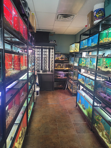 Pet Supply Store «Pet Palace», reviews and photos, 4094 S Parker Rd, Aurora, CO 80014, USA