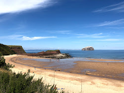Foto von Seacliff Beach mit sehr sauber Sauberkeitsgrad
