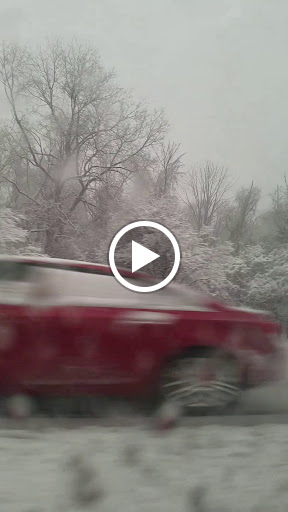 Nature Preserve «Camp Pine Woods», reviews and photos, Central Rd, Glenview, IL 60025, USA