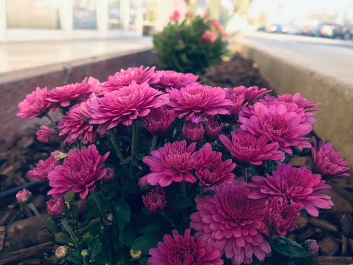 Beauty Supply Store «Glenpro Beauty Center», reviews and photos, 717 E California Ave, Glendale, CA 91206, USA