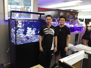 T&T Fish & Reef - photo 76