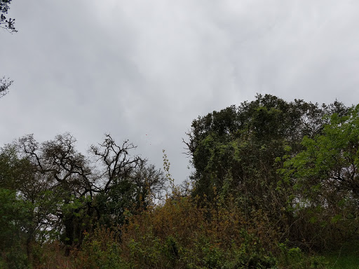 Coyote Valley Sporting Clays image
