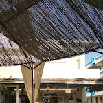 Photo n°1 de l'avis de Regula.t fait le 25/10/2022 à 14:42 sur le  Bar Oasi à Lido Conchiglie