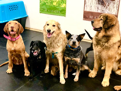 Canines & Company Dog Obedience School