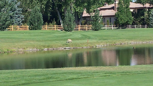 Golf Club «Littleton Golf and Tennis Club», reviews and photos, 5800 S Federal Blvd, Littleton, CO 80123, USA