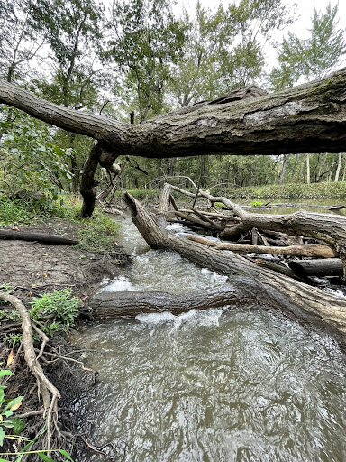 Nature Preserve «Harms Woods», reviews and photos, Harms Rd, Glenview, IL 60025, USA