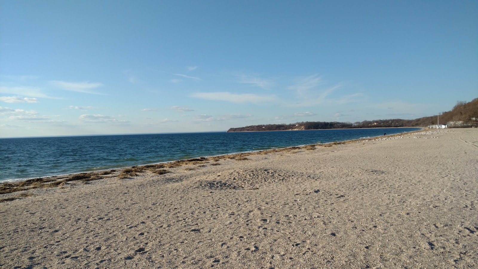 Photo of West Meadow Beach and the settlement