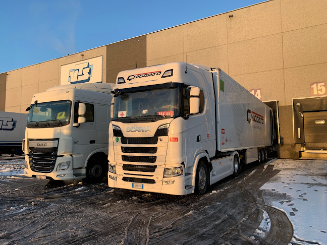 VTS Logistics Belgium - Brussel