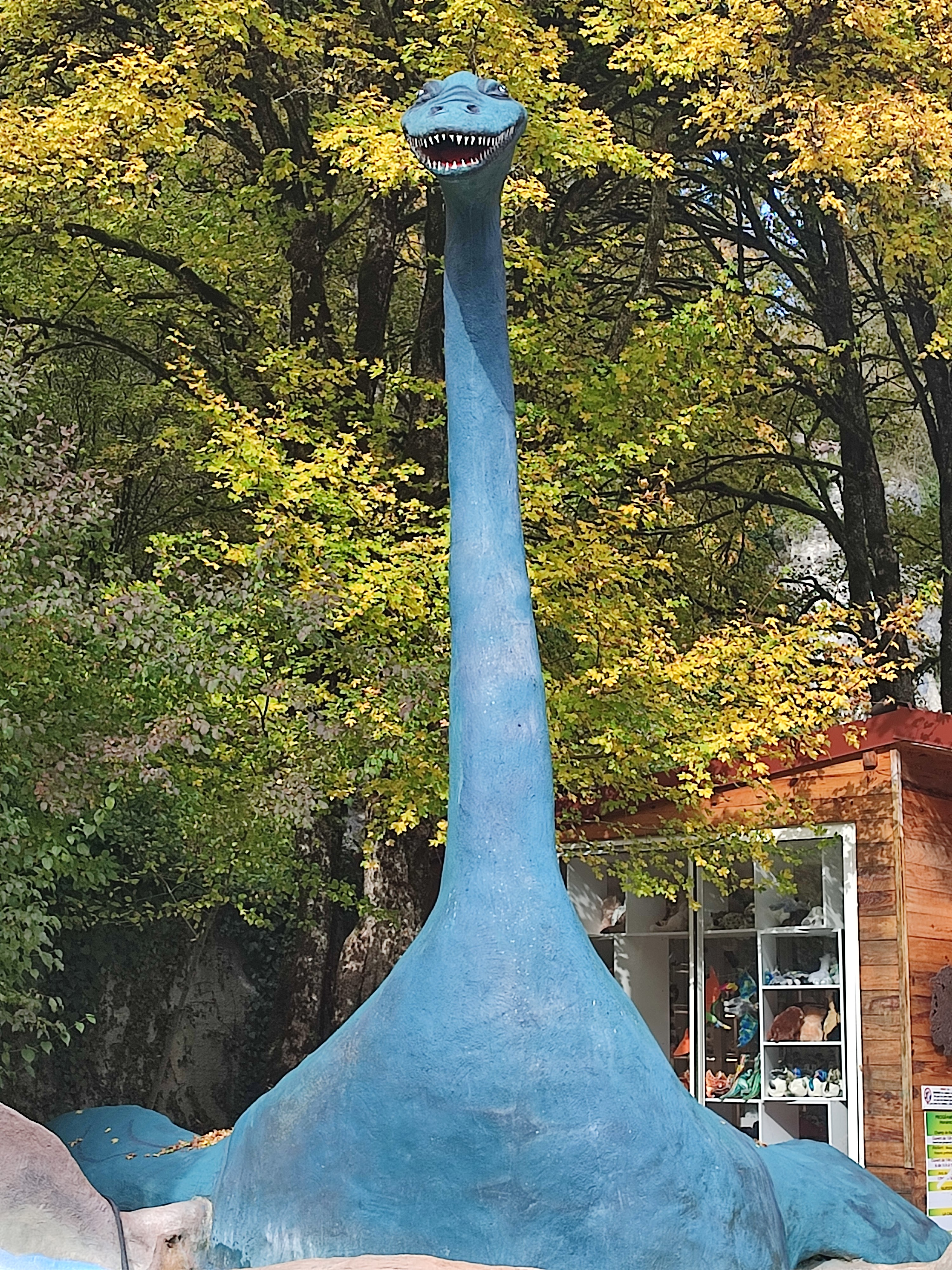 Photo n° 1 de l'avis de Anna.e fait le 05/11/2021 à 20:07