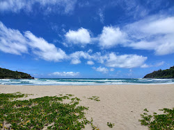 Photo de Rock Quarry Beach avec baie spacieuse