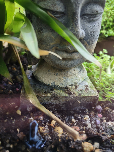 Pet Store «Fins Feathers Paws & Claws», reviews and photos, 436 Main St, Harleysville, PA 19438, USA