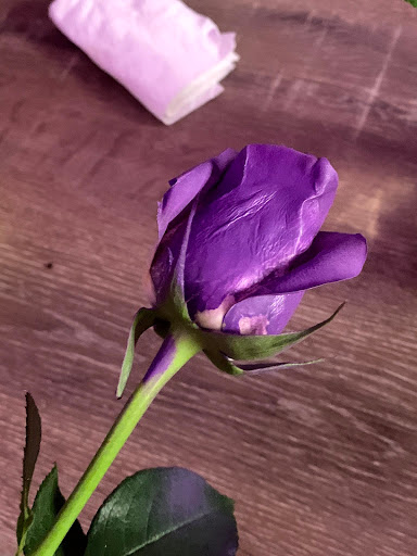 Florist «A Touch of Elegance Florist», reviews and photos, 360 S Franklin Ave, Belleville, NJ 07109, USA