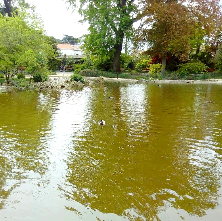 Photo n° 4 de l'avis de Thierry.E fait le 16/07/2017 à 18:56
