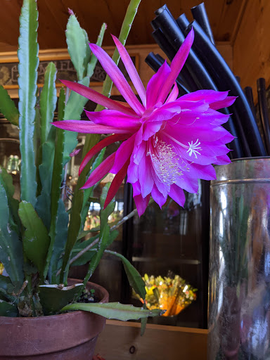 Farm «Four Town Farm», reviews and photos, 90 George St, Seekonk, MA 02771, USA