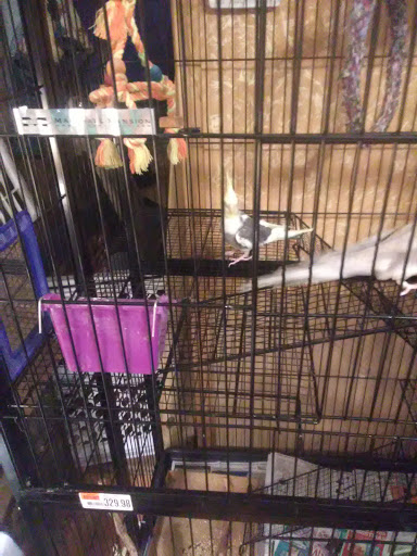 Pet Supply Store «Pet Supplies Plus», reviews and photos, 175 Memorial Ave, West Springfield, MA 01089, USA