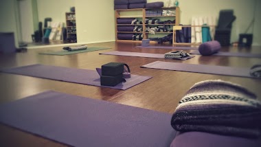 Living Fit Yoga