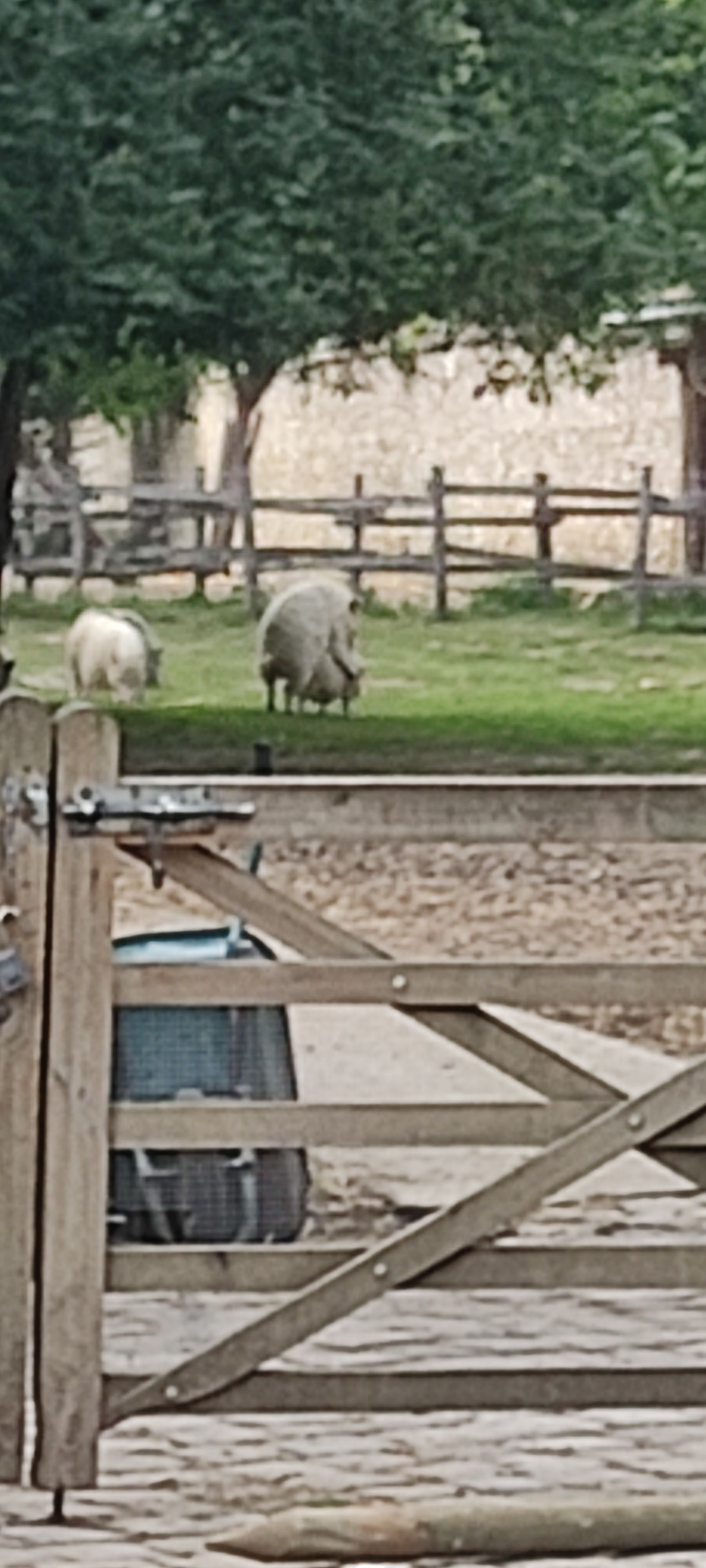 Photo n° 9 de l'avis de Thomas.O fait le 26/05/2022 à 14:48