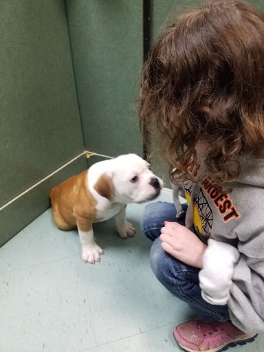 Pet Store «Petland», reviews and photos, 2123 Old Hudson Rd, St Paul, MN 55119, USA