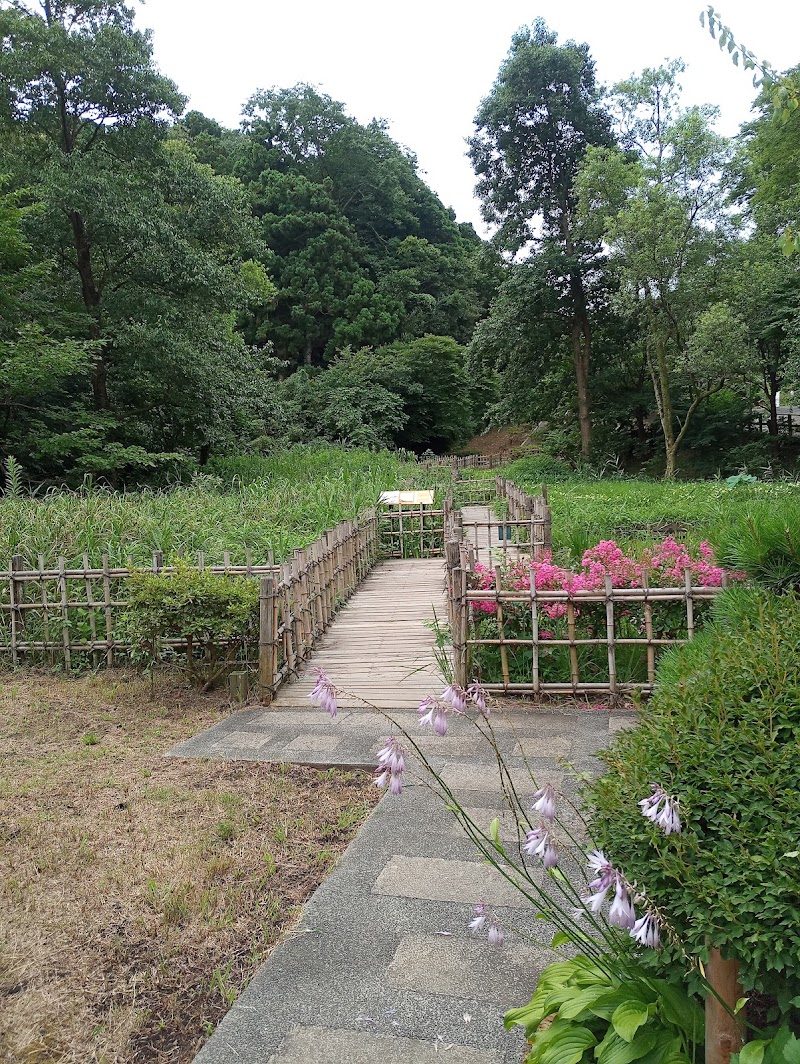 鎌倉中央公園 湿性花園