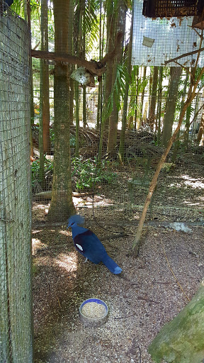 Tourist Attraction «Walton House», reviews and photos, 28501 SW 187th Ave, Homestead, FL 33030, USA