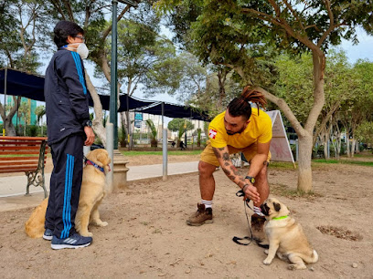 Smart Doggies Perú