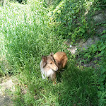 Photo n°6 de l'avis de Heidi.c fait le 11/08/2020 à 16:09 sur le  Zur Wackenmühle à Rehlingen-Siersburg