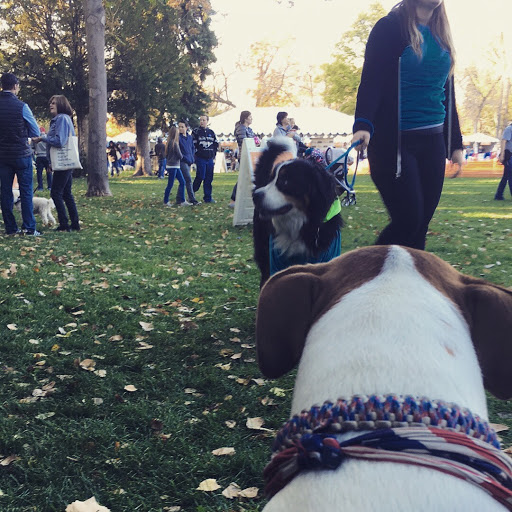 Pet Supply Store «Pet Wants», reviews and photos, 9486 S Union Square, Sandy, UT 84070, USA