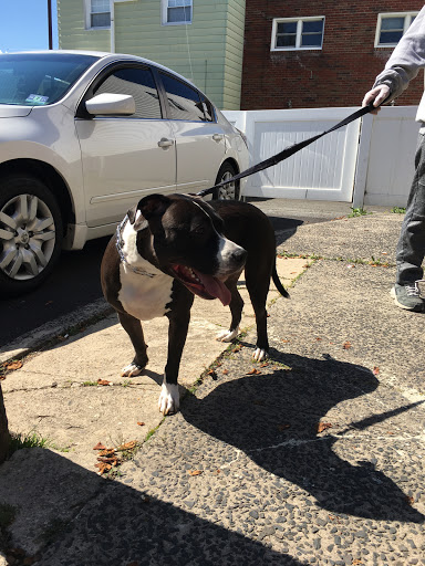 Pet Supply Store «PetSmart», reviews and photos, 2100 88th St, North Bergen, NJ 07047, USA