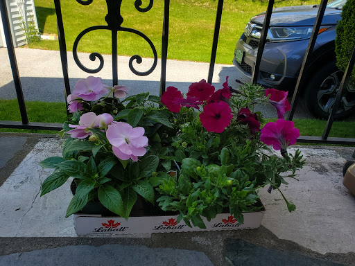 Florist «Park Place Florist and Garden Center», reviews and photos, 72 Park St, Rutland, VT 05701, USA