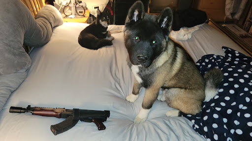 Gun Shop «Backwoods Outfitters», reviews and photos, 2421 Ironville Pike, Columbia, PA 17512, USA