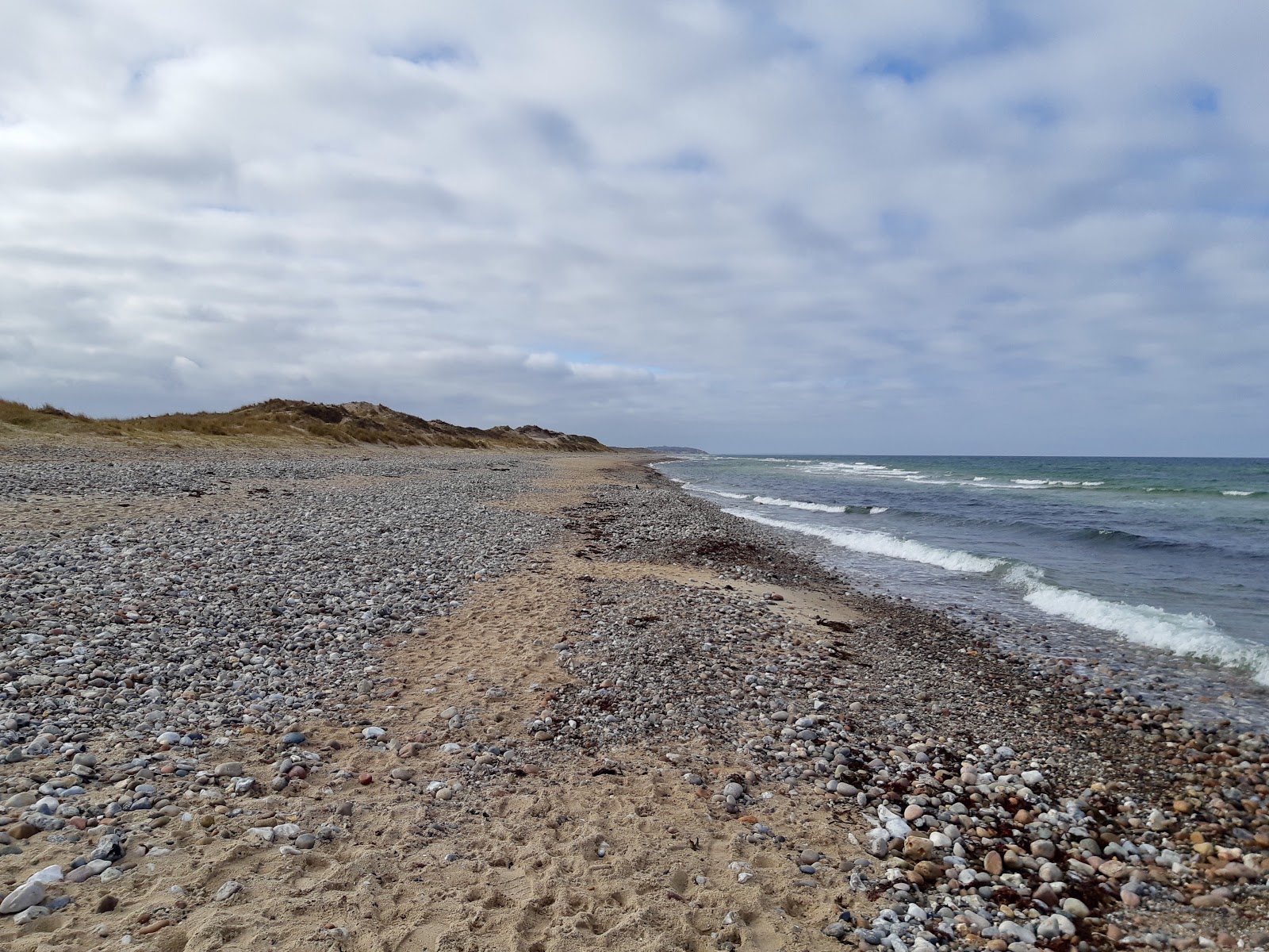 Foto de Stangehus Beach área de servicios