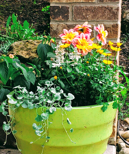 Florist «Petals of Love», reviews and photos, 5350 W 130th St, Brook Park, OH 44142, USA