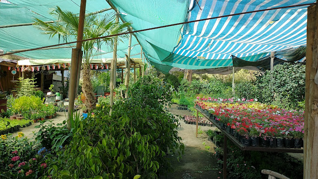 Opiniones de Jardín las Pataguas en Peñalolén - Centro de jardinería
