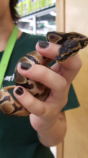 Pet Supply Store «Pet Supplies Plus», reviews and photos, 1377 N 21st St, Newark, OH 43055, USA