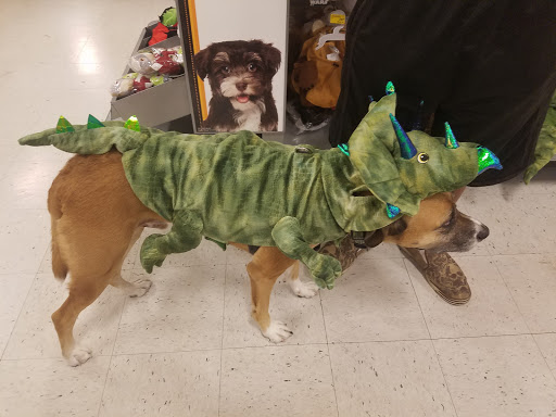 Pet Supply Store «PetSmart», reviews and photos, 2160 Southgate Rd, Colorado Springs, CO 80906, USA