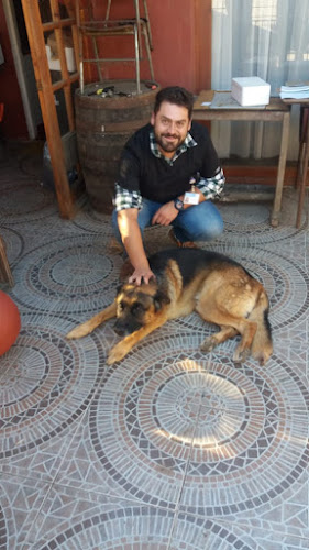 Horarios de VETERINARIO A DOMICILIO - ARVET