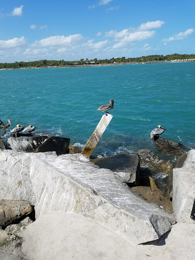 Marina «Fort Pierce City Marina», reviews and photos, 1 Avenue A, Fort Pierce, FL 34950, USA