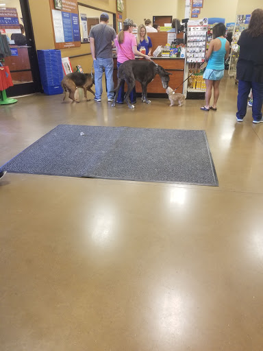 Pet Supply Store «PetSmart», reviews and photos, 3340 FM 544 Ste 800, Wylie, TX 75098, USA