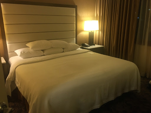 Hotel «Embassy Suites by Hilton Boston/Waltham», reviews and photos, 550 Winter St, Waltham, MA 02451, USA