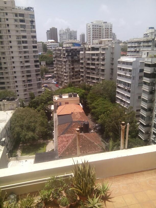 Google Maps image 10