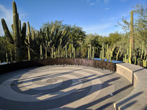 Botanical Garden «Desert Botanical Garden», reviews and photos, 1201 N Galvin Pkwy, Phoenix, AZ 85008, USA