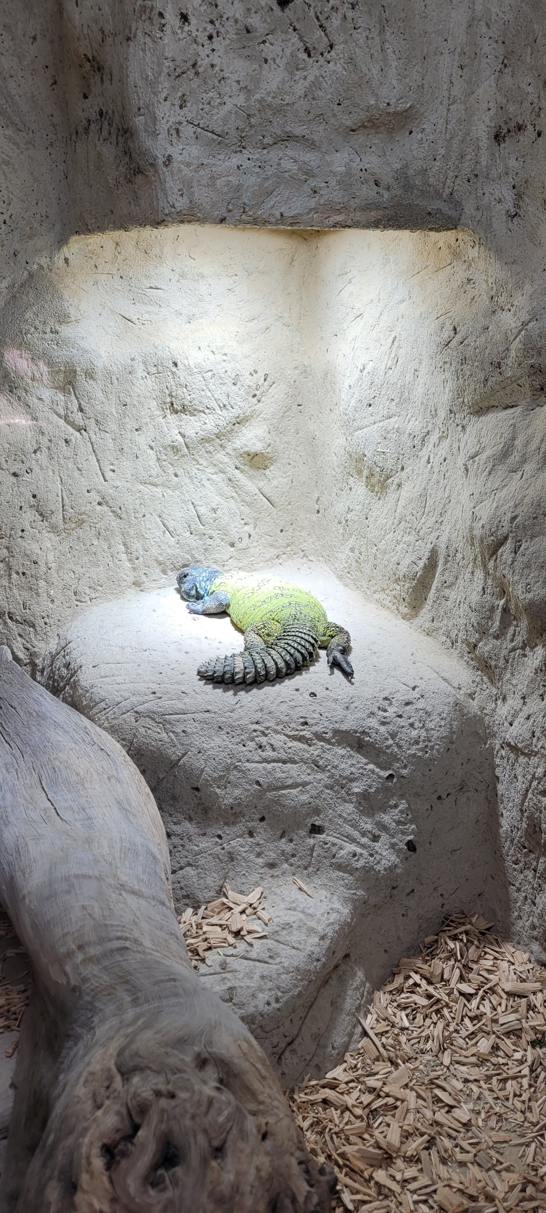 Photo n° 2 de l'avis de emmanuelle.a fait le 03/08/2023 à 19:03