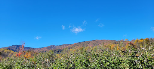 Produce Market «Barber Orchard Fruitstands Inc», reviews and photos, 2855 Old Balsam Rd, Waynesville, NC 28786, USA