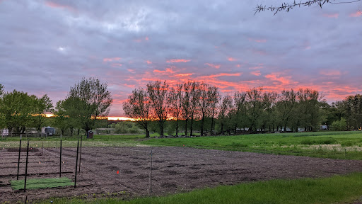 Produce Market «Natura Farms», reviews and photos, 19060 Manning Trail N, Marine on St Croix, MN 55047, USA