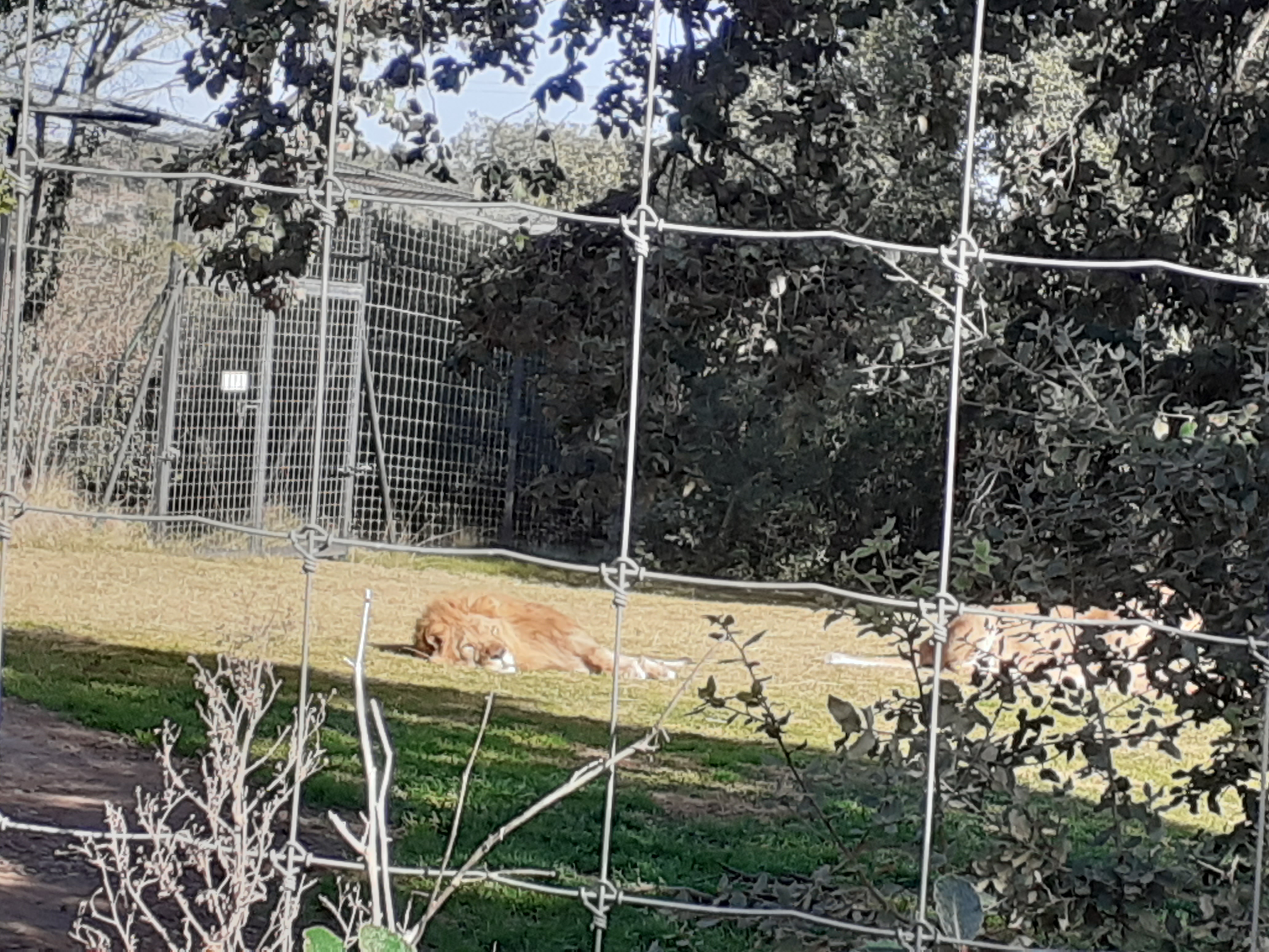 Photo n° 30 de l'avis de Abdelhamid.L fait le 22/02/2024 à 20:52