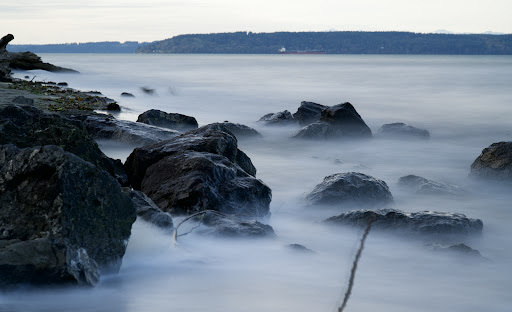 State Park «Dash Point State Park», reviews and photos, 5700 SW Dash Point Rd, Federal Way, WA 98023, USA