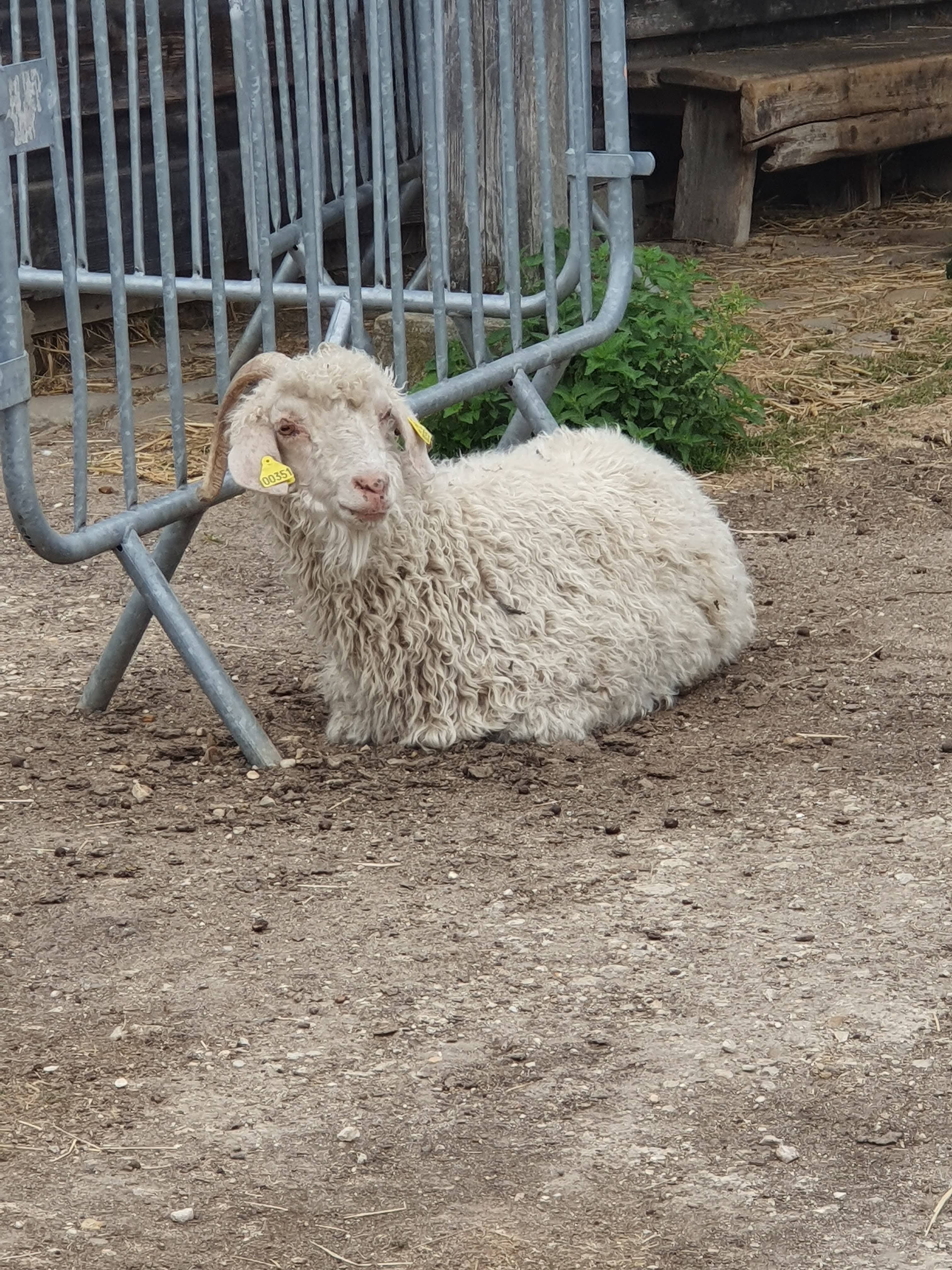 Photo n° 7 de l'avis de Liliane.o fait le 17/08/2019 à 10:37
