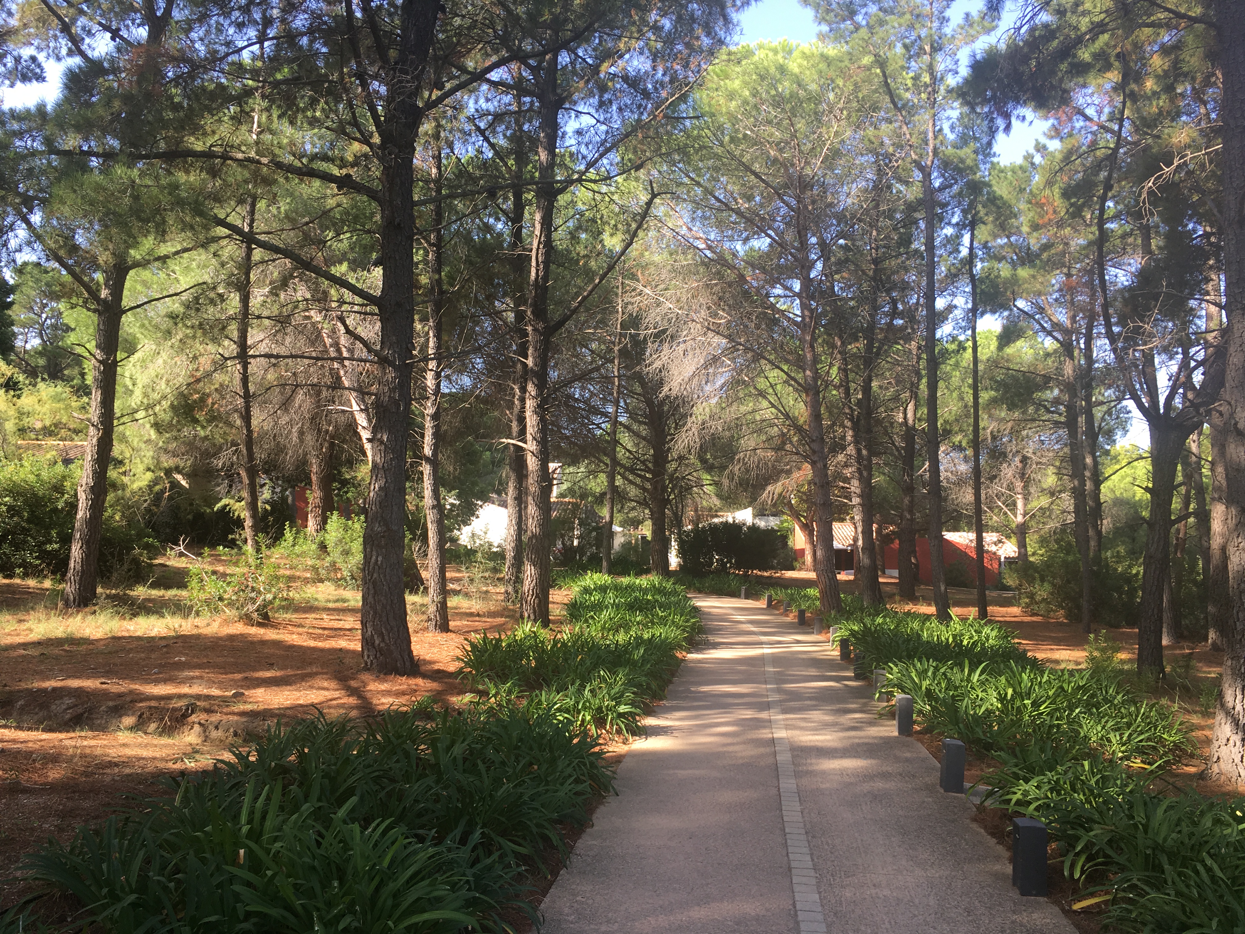 Photo n° 5 de l'avis de Nadine. fait le 15/09/2019 à 12:24